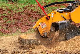 Best Tree Trimming and Pruning  in Donalsonville, GA